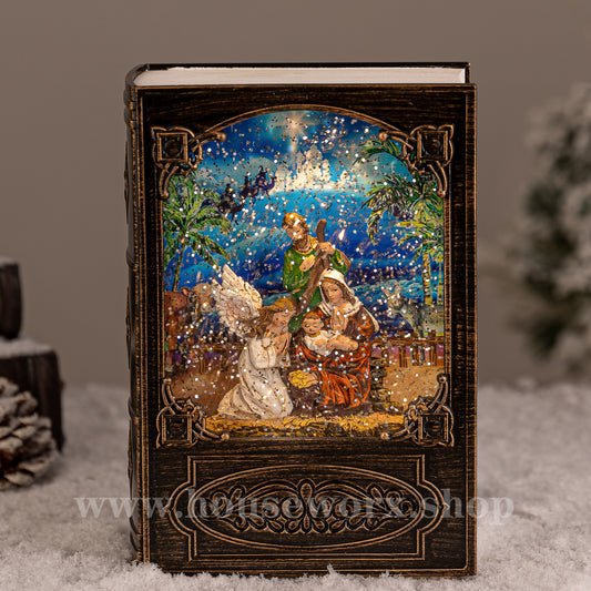 Book christmas snow globe nativity