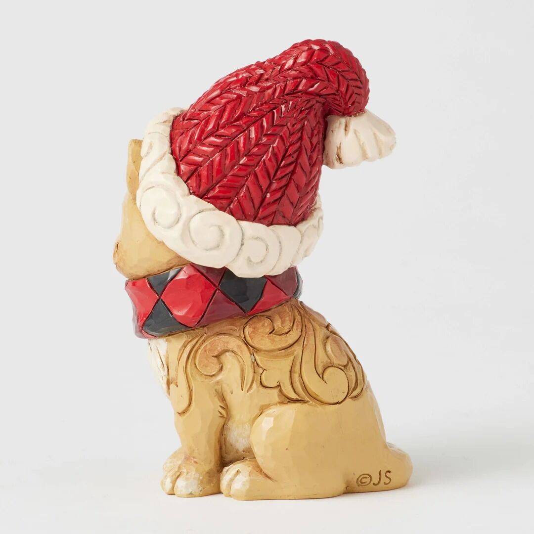 Cat with Santa Hat on white background