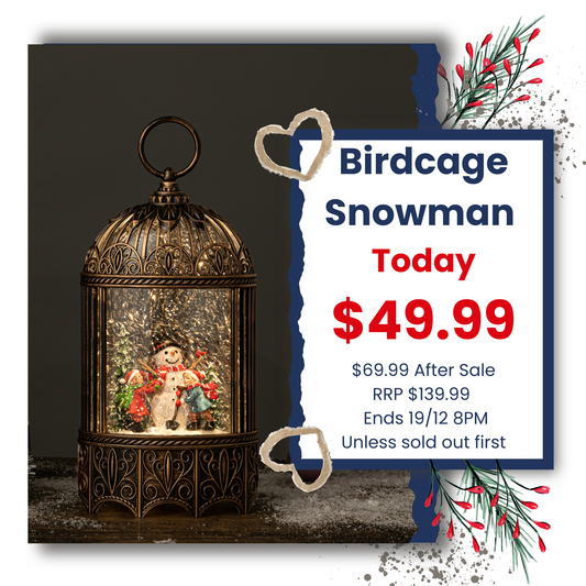 Bird Cage - Snowman