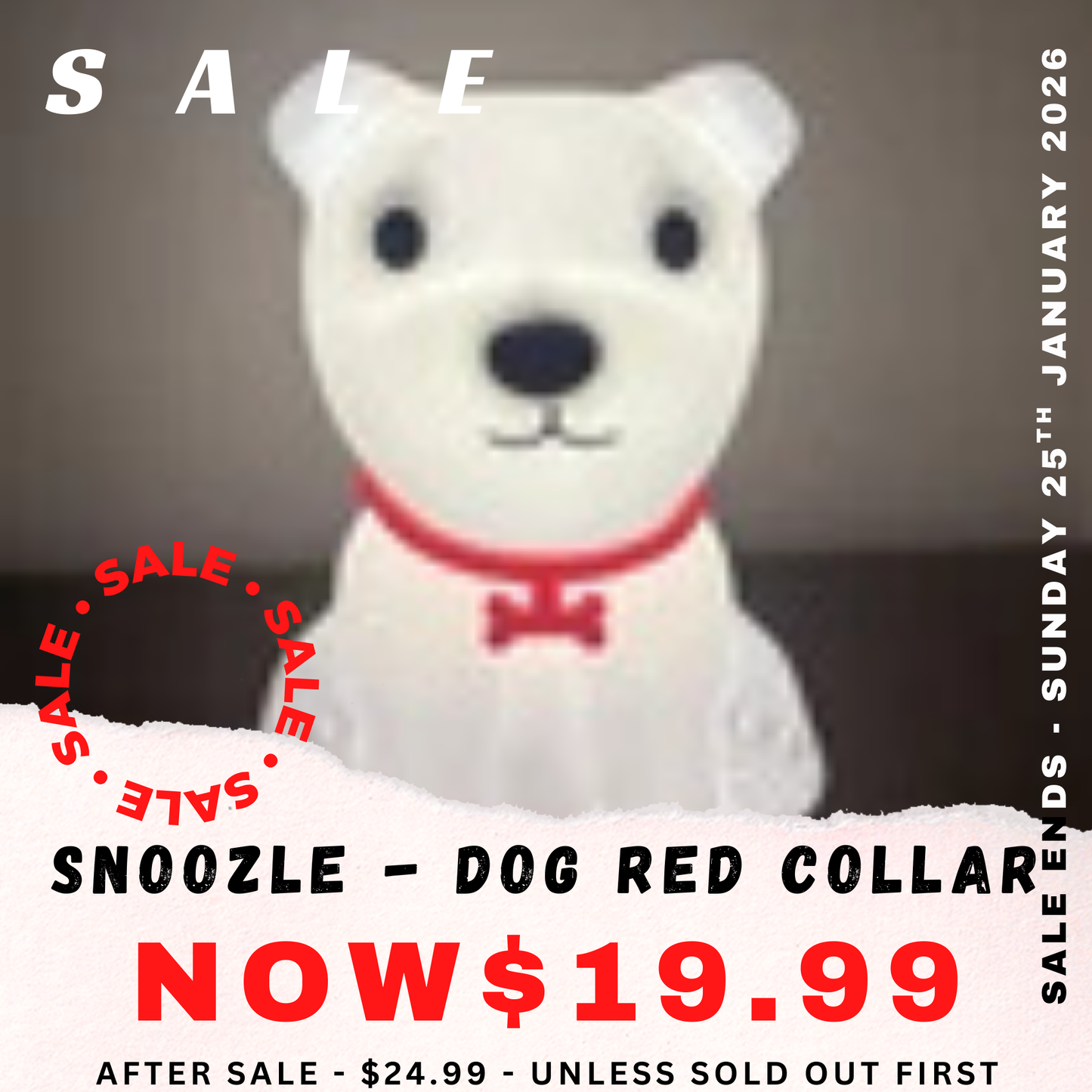 Dog - Red Collar