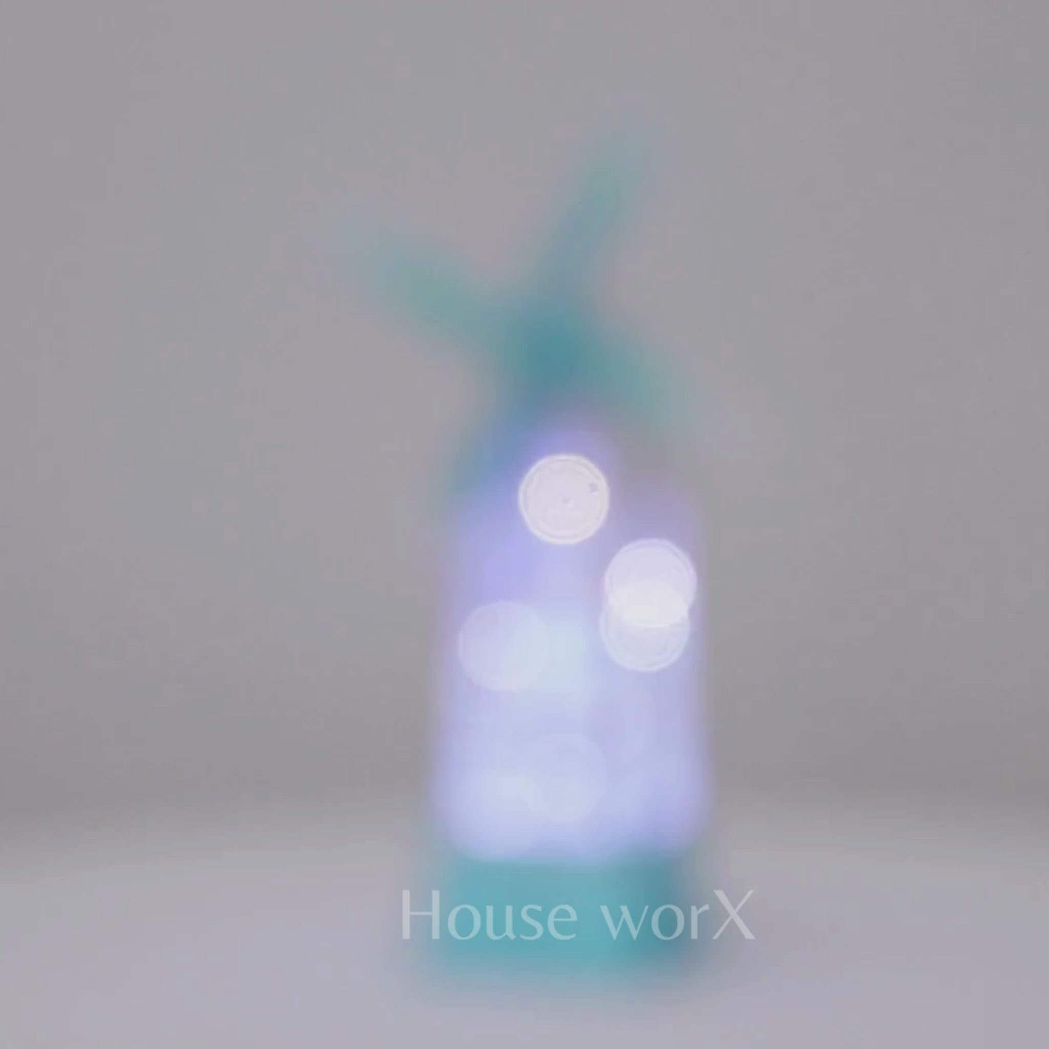 blue windmill snow globe 