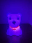 Dog - Red Collar